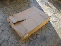 IMG_1756small.JPG
