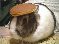 bunny-pancake.jpg