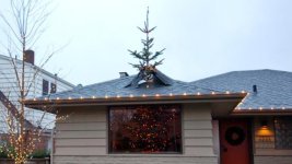 viewer+patrick+kruger+christmas+tree+roof.JPG