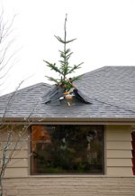 viewer+patrick+kruger+christmas+tree+roof+2.JPG