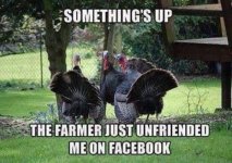 funny-happy-thanksgiving-photos-17.jpg