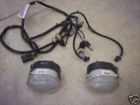 fog lights.jpg