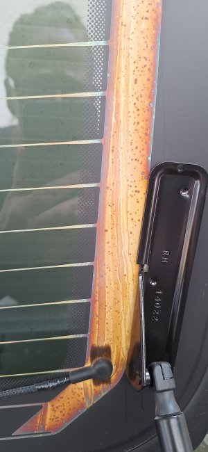 20250913_142034.jpg