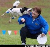 dog-attack-frisbee-fail.jpg
