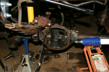 image-901759646.png