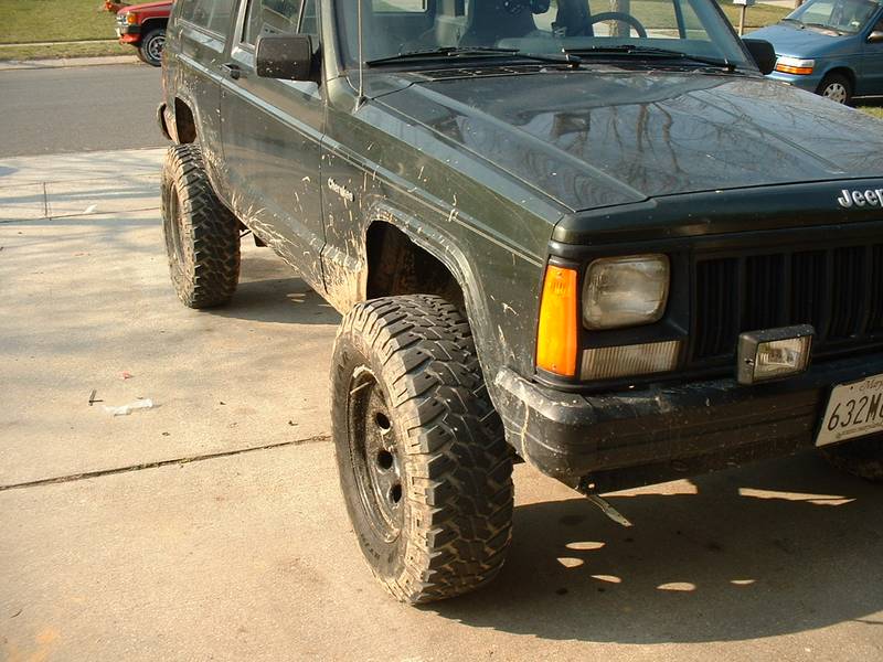 back in the driveway fender 1