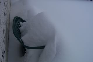 blizzard003-2.jpg