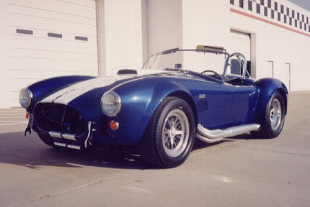 cobra_1_450-1.jpg