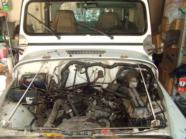 ezhp3p-1.jpg