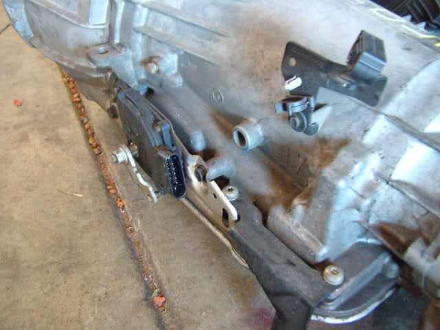 289eweu-1.jpg