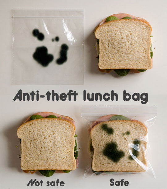 funnysandwichlunchbagmold-1.jpg