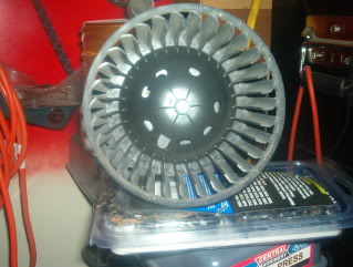 fan002-1.jpg