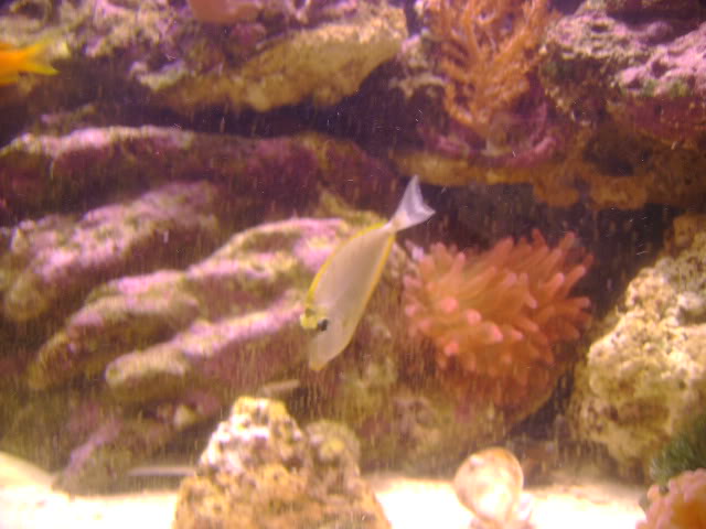 DSC00677-1.jpg