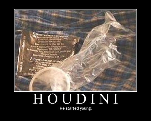 houdini-1.jpg